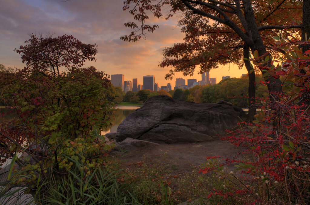 Sunset Tour of Central Park